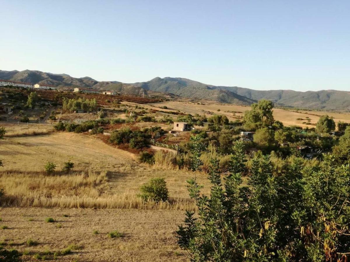 Casa Vacanza Il Mandorlo Domusnovas Exteriér fotografie